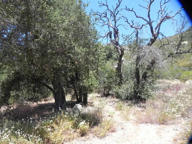 0 Descanso Trail, Descanso, California 91916