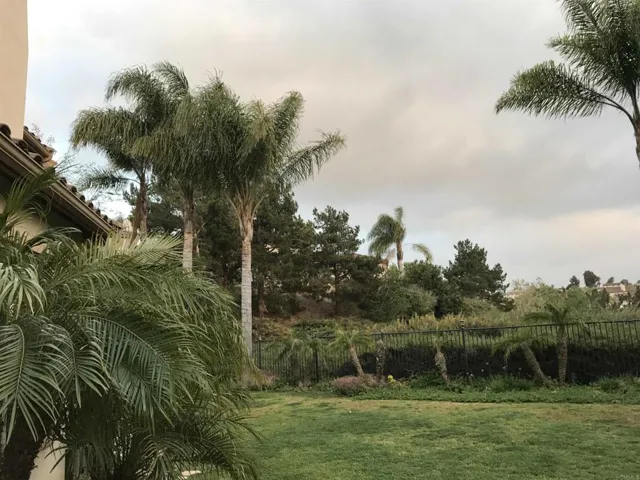 7908 Calle Oliva, Carlsbad, California 92009