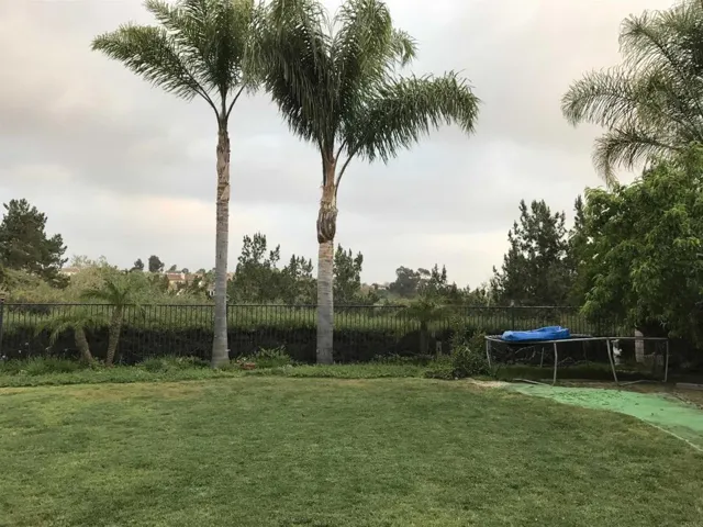 7908 Calle Oliva, Carlsbad, California 92009