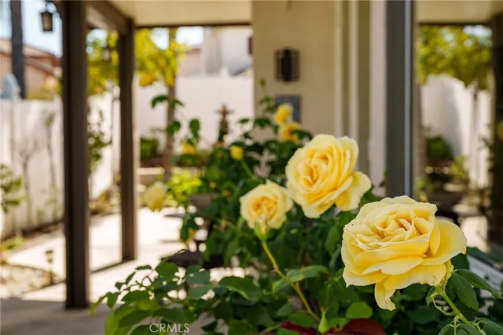 2163 Thyme, Corona, California 92879