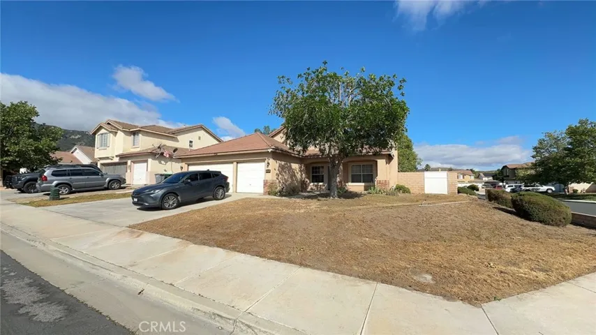Front Yard 2