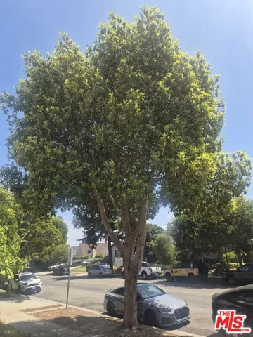833 16th Street C, Santa Monica, California 90403