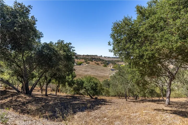840 Madrone, Paso Robles, California 93446