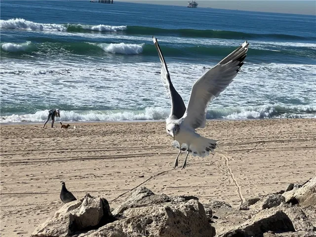 Huntington Beach