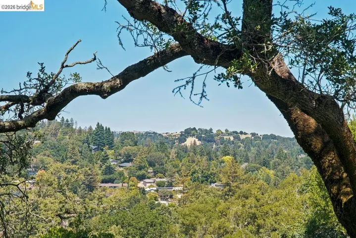 Expansive hillside scenery with abundant mature trees and distant residential structures