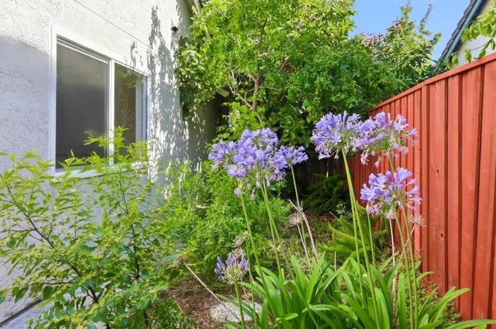 1725 Red Maple Street, Union City, California 94587