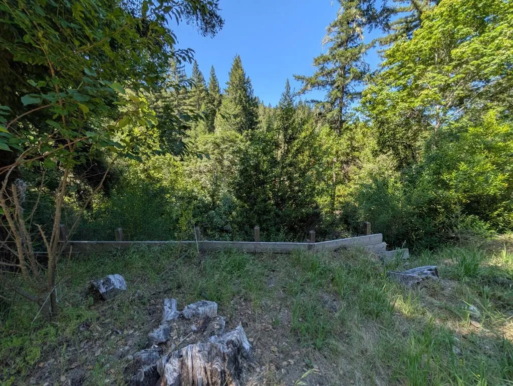 18770 Kelly (mustang Mesa), Boulder Creek, California 95006 — photo 5