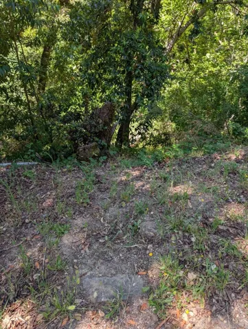 18770 Kelly (mustang Mesa), Boulder Creek, California 95006
