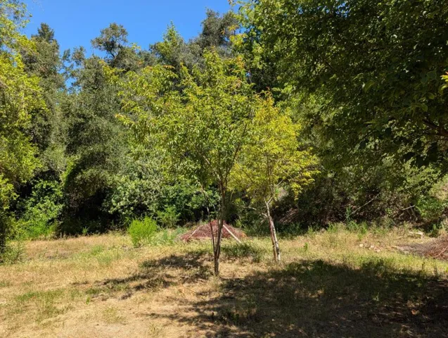 18770 Kelly (mustang Mesa), Boulder Creek, California 95006