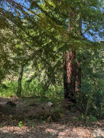 18770 Kelly (mustang Mesa), Boulder Creek, California 95006