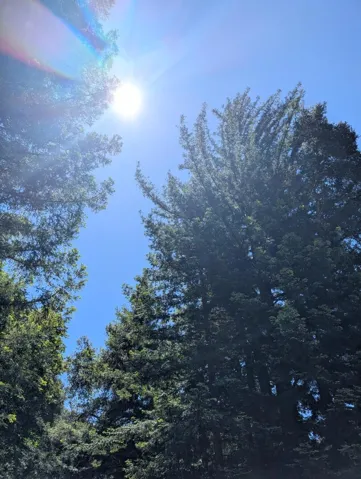 18770 Kelly (mustang Mesa), Boulder Creek, California 95006