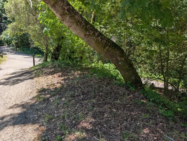18770 Kelly (mustang Mesa), Boulder Creek, California 95006