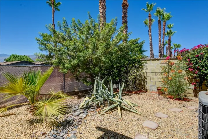 Backyard desert landscaping