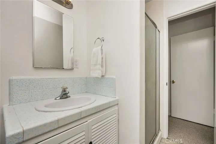 sink of main bathroom. walk-in show stall