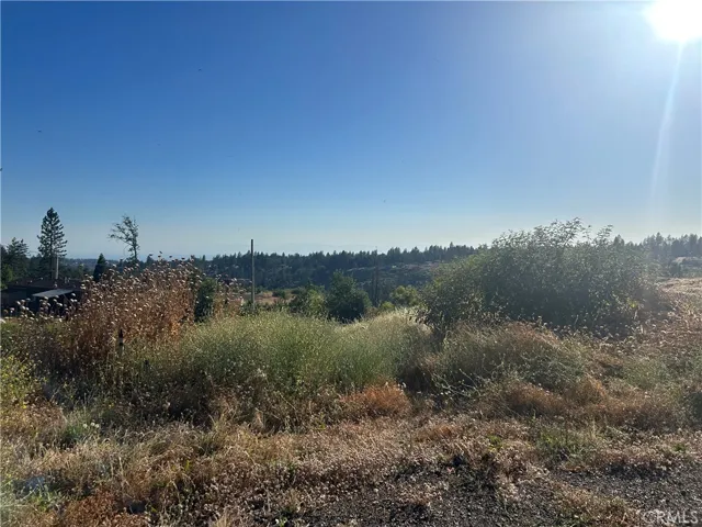 13753 Sugar Pine, Magalia, California 95954