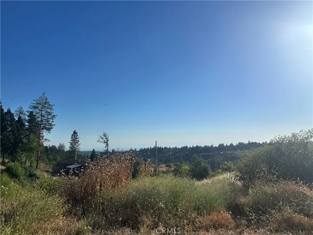13753 Sugar Pine, Magalia, California 95954
