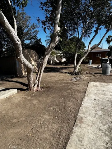 FRUIT TREES