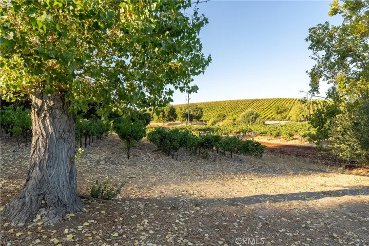 2925 Anderson Road, Paso Robles, California 93446
