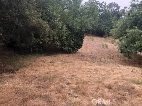 3708 Richardson Drive, Los Angeles, California 91605