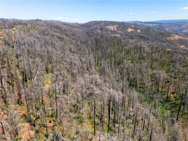 335 Mann And Nolta Ridge, Chico, California 95973