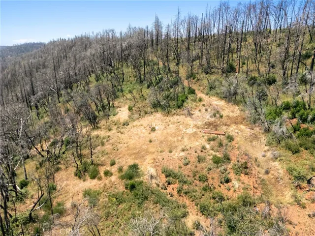 335 Mann And Nolta Ridge, Chico, California 95973