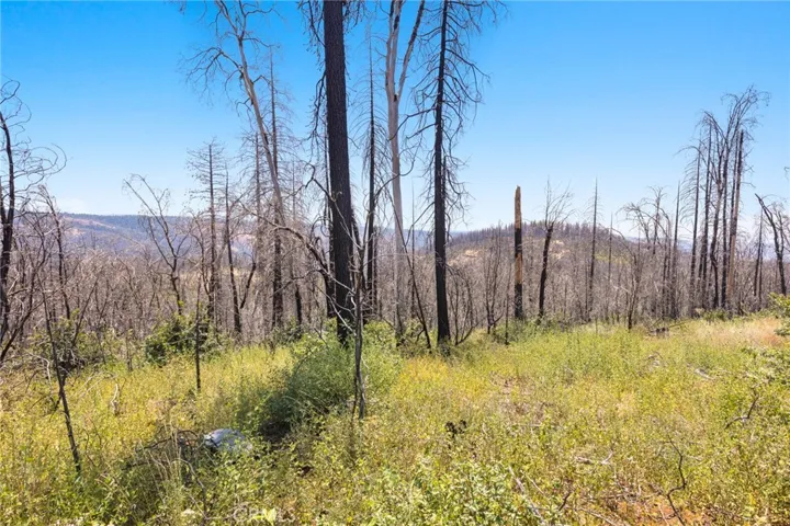335 Mann And Nolta Ridge, Chico, California 95973