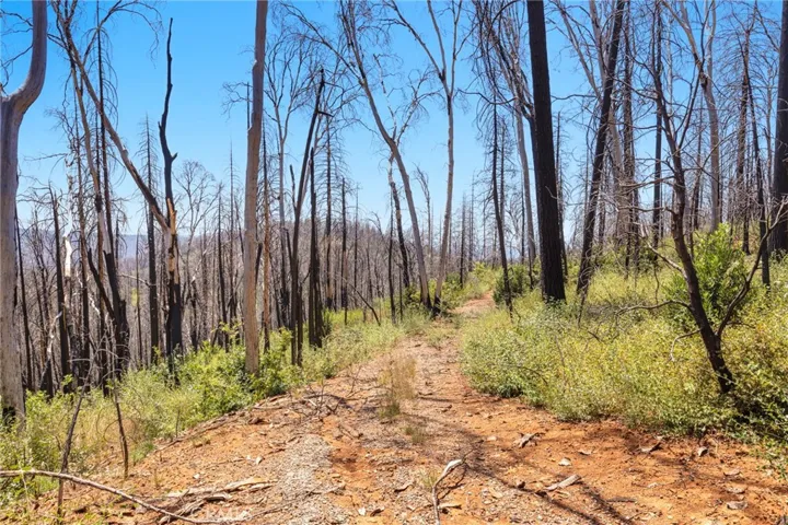 335 Mann And Nolta Ridge, Chico, California 95973