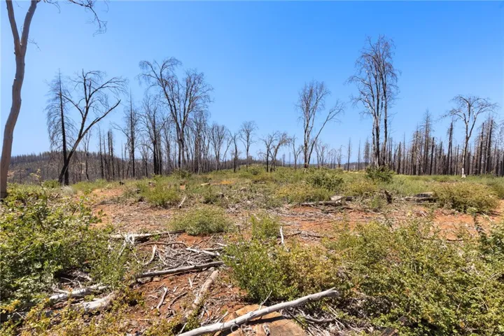 335 Mann And Nolta Ridge, Chico, California 95973