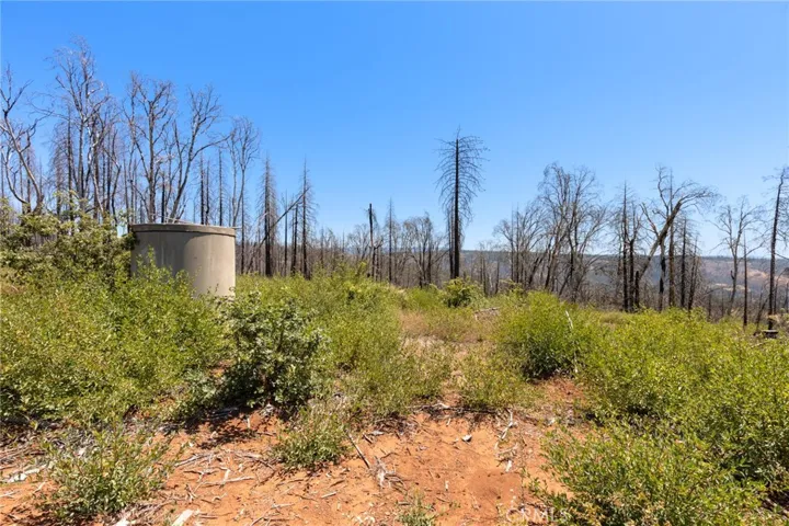 335 Mann And Nolta Ridge, Chico, California 95973