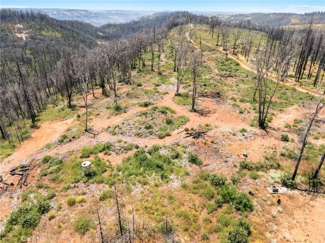 335 Mann And Nolta Ridge, Chico, California 95973