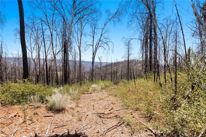 335 Mann And Nolta Ridge, Chico, California 95973