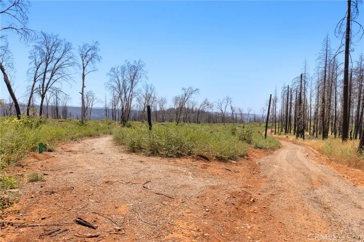 335 Mann And Nolta Ridge, Chico, California 95973