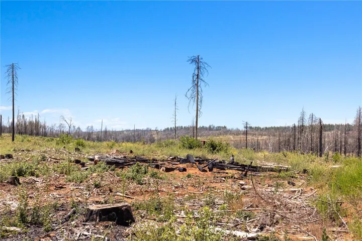 335 Mann And Nolta Ridge, Chico, California 95973