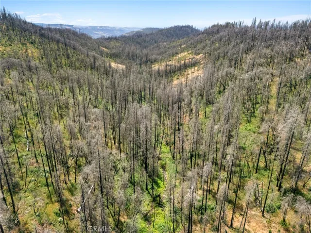 335 Mann And Nolta Ridge, Chico, California 95973