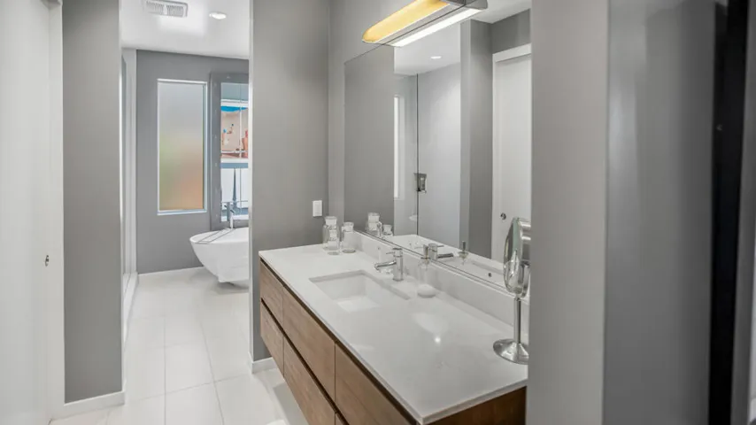 Primary Vanity 1