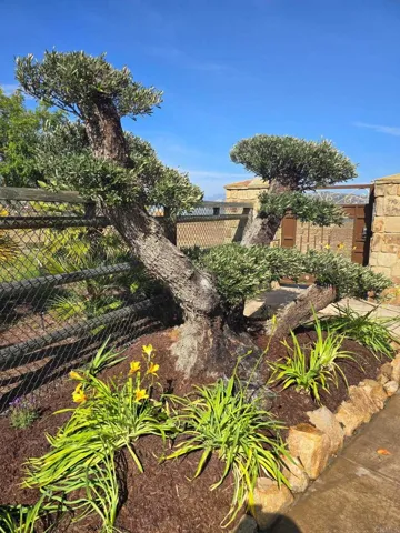 3752 Monserate Place, Fallbrook, California 92028