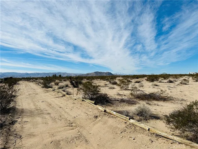 1234 Desert Lily, Joshua Tree, California 92252