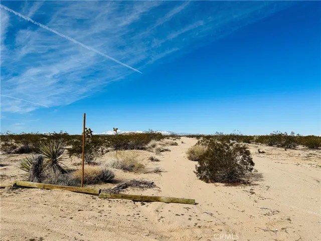 1234 Desert Lily, Joshua Tree, California 92252