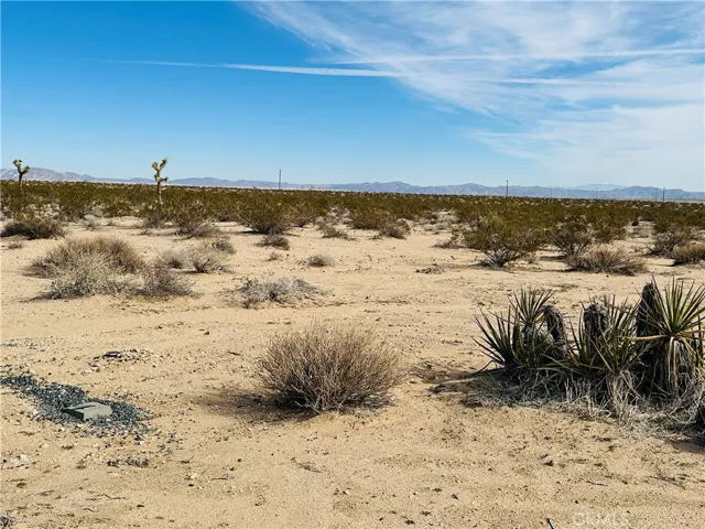 1234 Desert Lily, Joshua Tree, California 92252