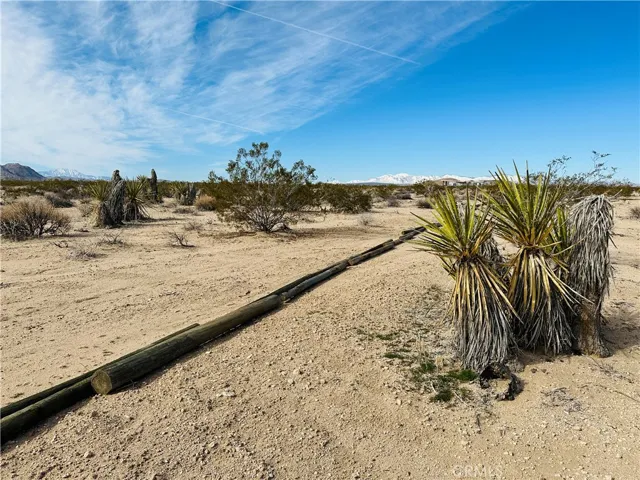 1234 Desert Lily, Joshua Tree, California 92252