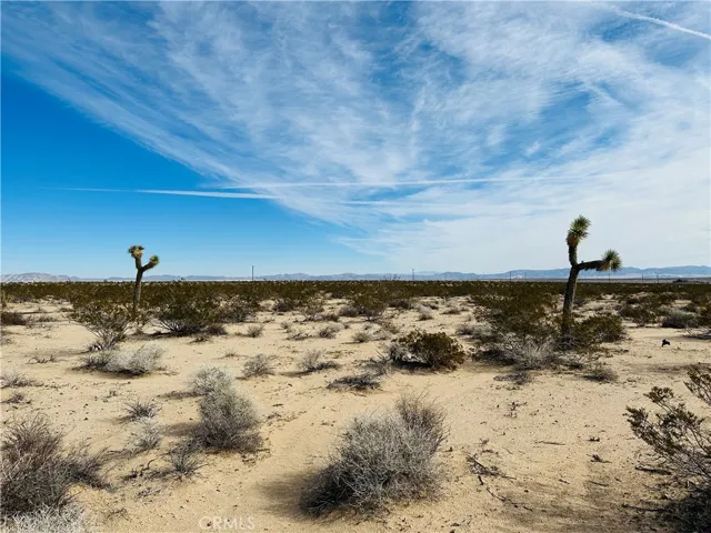 1234 Desert Lily, Joshua Tree, California 92252