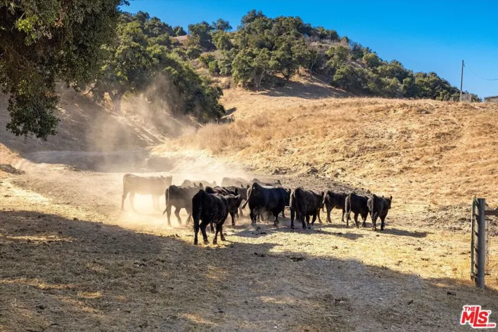 0 Ca Hwy 135, Los Alamos, California 93440