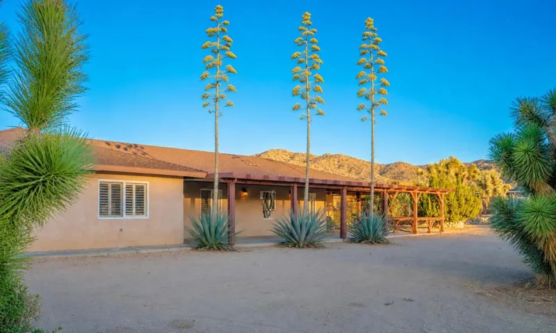 Back patio