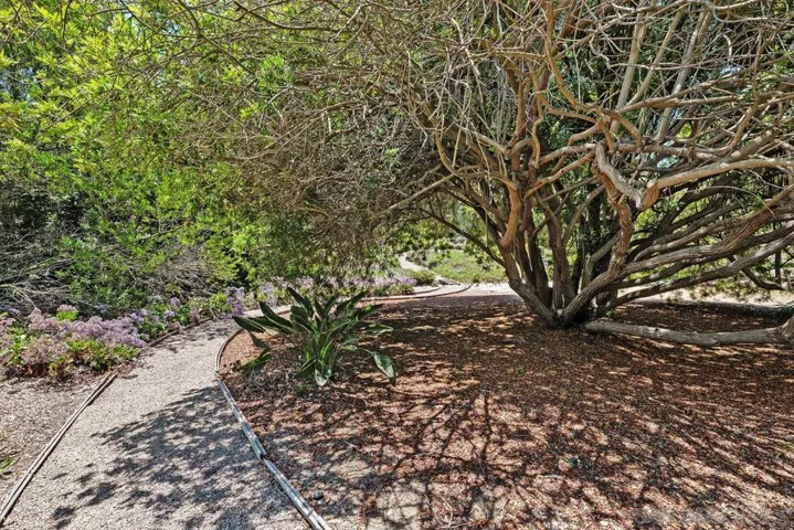 17240 Avenida De Acacias, Rancho Santa Fe, California 92067