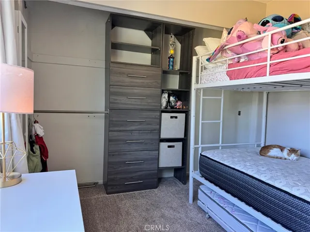 Bedroom 2 closet