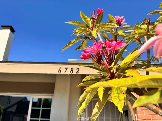 6782 Stonepine Court, Yorba Linda, California 92886