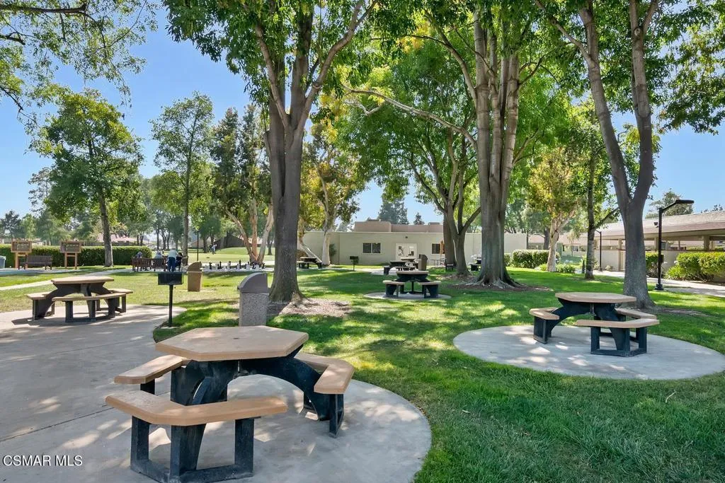 25336 Picnic