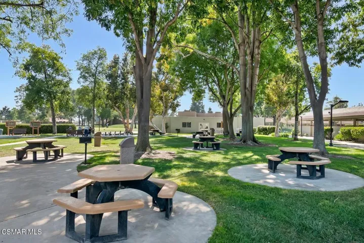 25336 Picnic