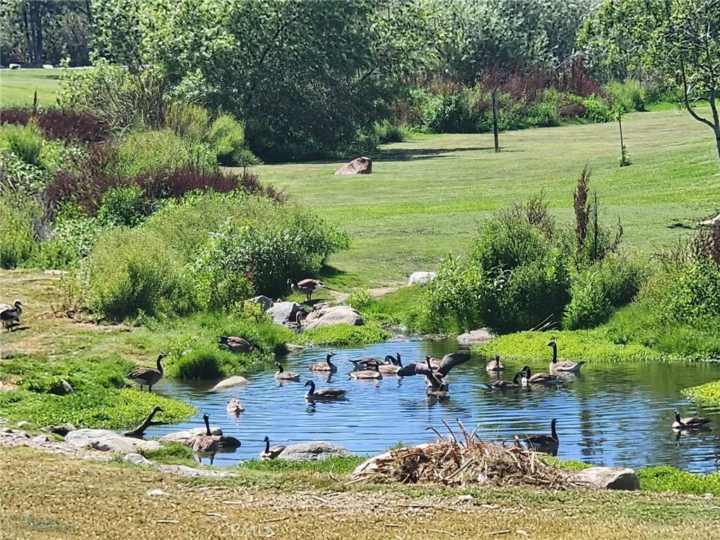 Many parks throughout Laguna Niguel