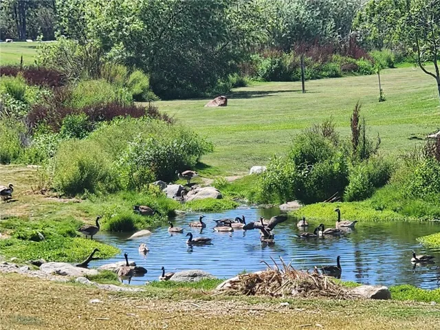 Many parks throughout Laguna Niguel